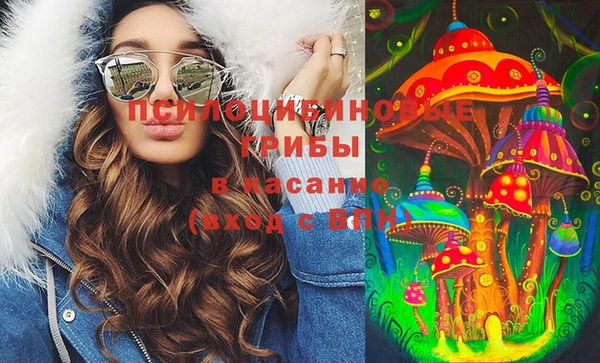 крисы Михайлов