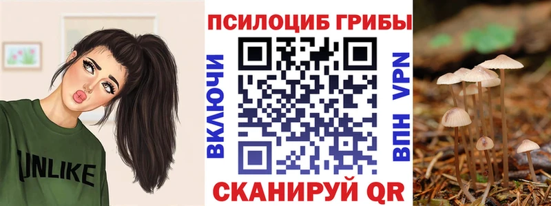 Псилоцибиновые грибы Psilocybine cubensis где можно купить Екатеринбург